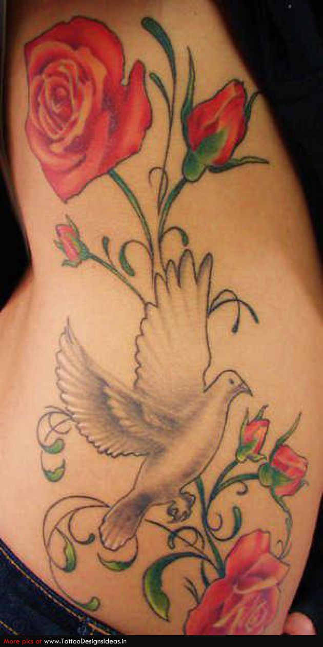 Rose and Pigeon Tattoo Design – Meaning Tattoo
