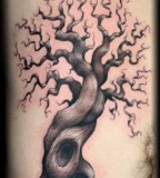 Tattoo Design Of Cherry Tree