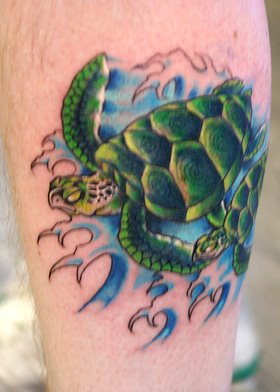 Choose Your Cool Turtle 3d Tattoo