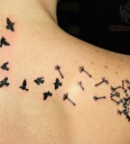 Dandelion Puff And Birds Tattoo On Upperback
