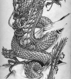 Chinese Dragon Sketch Sample for Tattoo