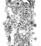 White Tiger Tattoo Sketch