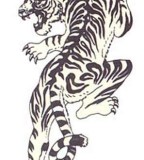 Crawling Tiger Tattoos Sketch Design
