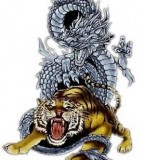 Martial Art  White Tiger Dragon Tatoo 