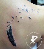 Complete Feather Turning into Birds Back Shoulder Tattoo