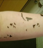 Flock Of Birds Arm Tattoo For Girls