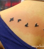 Flock Of Birds Back Tattoo Pictures