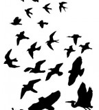 Fabulous Silhouette Of Flying Bird Tattoo Design