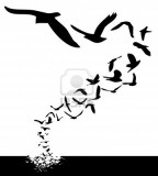 Lot Of Birds Flying Silhouette Tattoo Style Illustration 