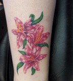 Design Of Pink Flower Tattoos Lily Ideas