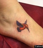 Hummingbird Foot Tattoo Design
