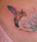 The Versatile Hummingbird Tattoo Design