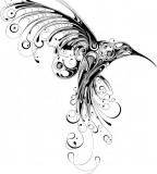 Big Black Hummingbird Tattoo Sketch