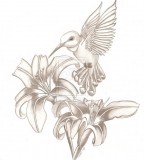 Cool Tattoo Girl Hummingbird Sketch