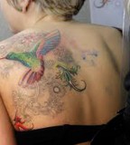Beautiful Hummingbird Tattoo Designs For Women