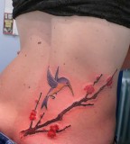 Best Sexy Hummingbird Tattoo Designs For Girls