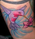 Tattoo Designs For Life Hummingbird Tattoos By Kat Von D