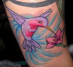 Tattoo Designs For Life Hummingbird Tattoos By Kat Von D