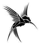 Black Hummingbird Tattoo Sketch Design Ideas