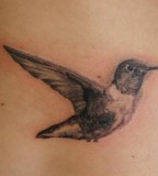 Minimalist Hummingbird Tattoo detailed