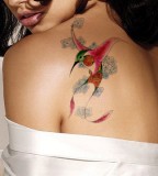 Red Wing Hummingbird Tattoo Design on Shoulder