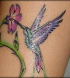 Tatto Design Of Tribal Hummingbird Tattoo Tattoodesignsideas