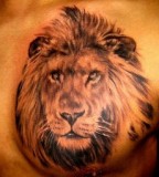 Tatto Design of Tattoo Lion