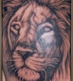 Lion Tattoos Bodyart Pictures 