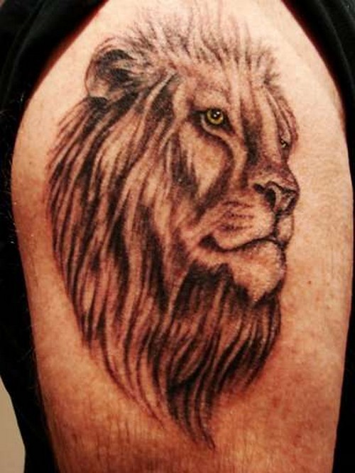 Half Sleeve Male Lion Tattoos