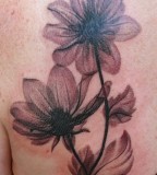 Phil Young Hope Gallery Tattoos Flower Artsy Magnolia Tattoo