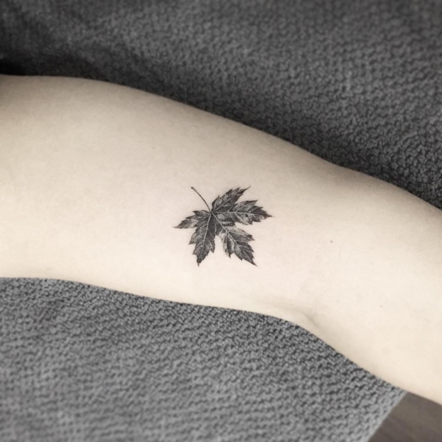 maple-leaf-tattoo-by-tattooist_flower