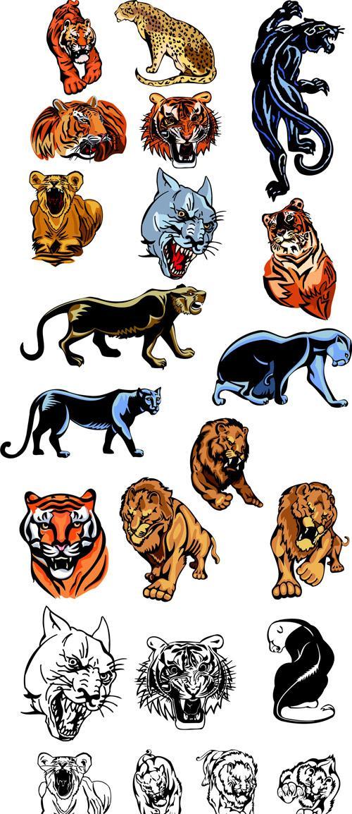 Vector Tiger Lion And Panther Tattoos Meaning