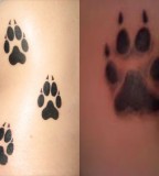 Simple Paw Print Tattoos Ideas Designs And Pictures