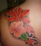 Amazing Plumeria Tattoos Design on Shoulder