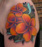 Plumeria Color Tattoo on Shoulder