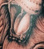 Roaring Lion Face Tattoo Gallery