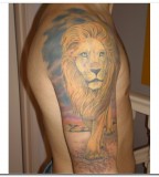 Awesome Roaring Lion Tattoo For man