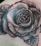 Exotic Black Rose Tattoo Designs for Women