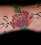 Rose Vines Tattoos For Your Inspirational Designs