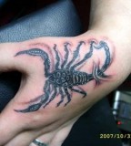 Forearm Zone Scorpion Tattoos