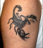 Black 3D Scorpion Tattoo Designs