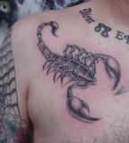 Amazing Chest Scorpion 3D Tattoo Design