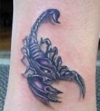 Purple Shade 3D Scorpion Tattoo