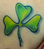 Young Sprigs Shamrock Tattoo Pictures