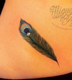 Awesome Feather Peacock Tattoo On Hip