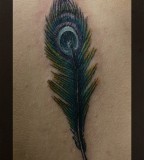 Simson Feather Peacock Tattoo