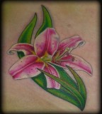 Small Green Pink Stargazer Lily Tattoo