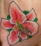 Simple Tattoo Flower Lily Ideas