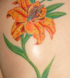 Lily Flower Tattoo On Back Shoulder for Girls