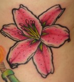 Beautiful Pink Stargazer Lily  Tattoo Design 